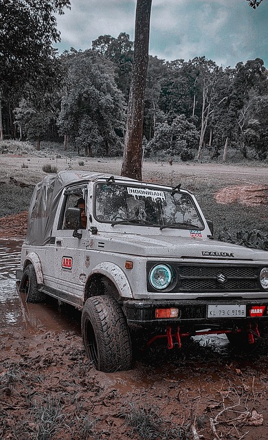 曼联在第15轮4-1大胜狼队，晋级英超第六，阿莫林有效发挥中场，布鲁诺、芒特等球员关键作用，助力球队提升排名。